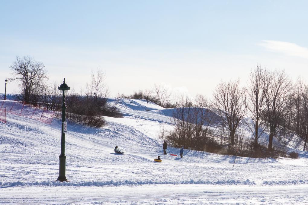 Glissade sur neige sur les plaines d'Abraham