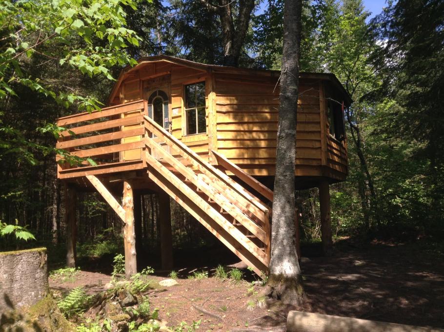 Cabane dans un arbre