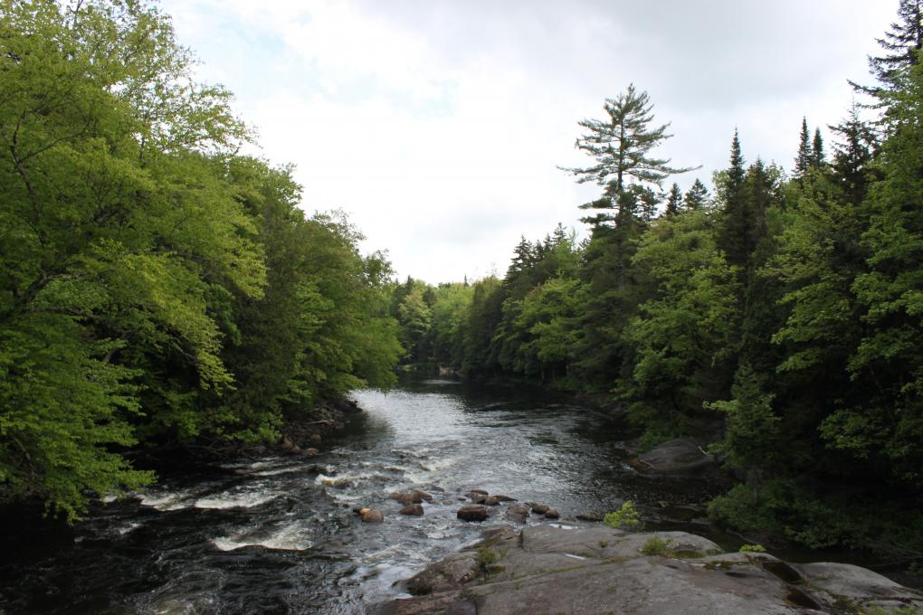 Parc naturel régional de Portneuf - rivière