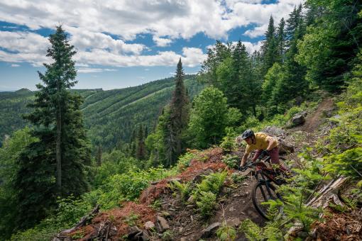 Le Massif de Charlevoix - Descente d'un cycliste