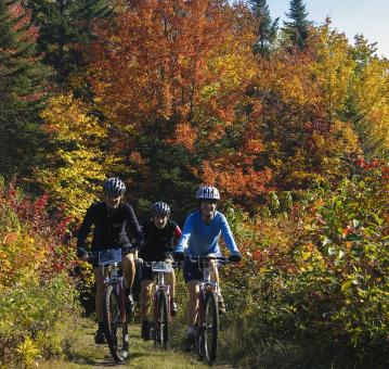 Mont-Sainte-Anne - Randonnée en vélo
