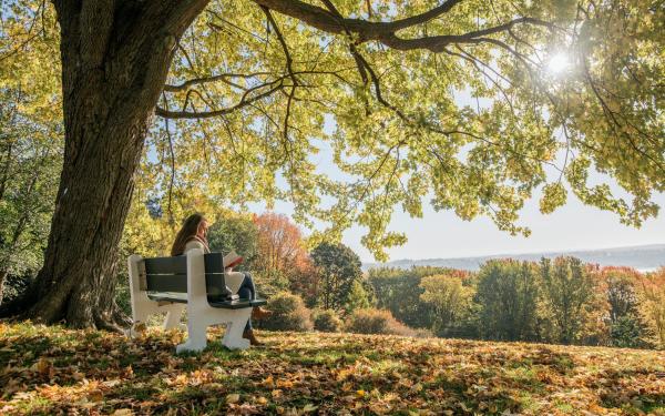 Plaines d'Abraham en automne
