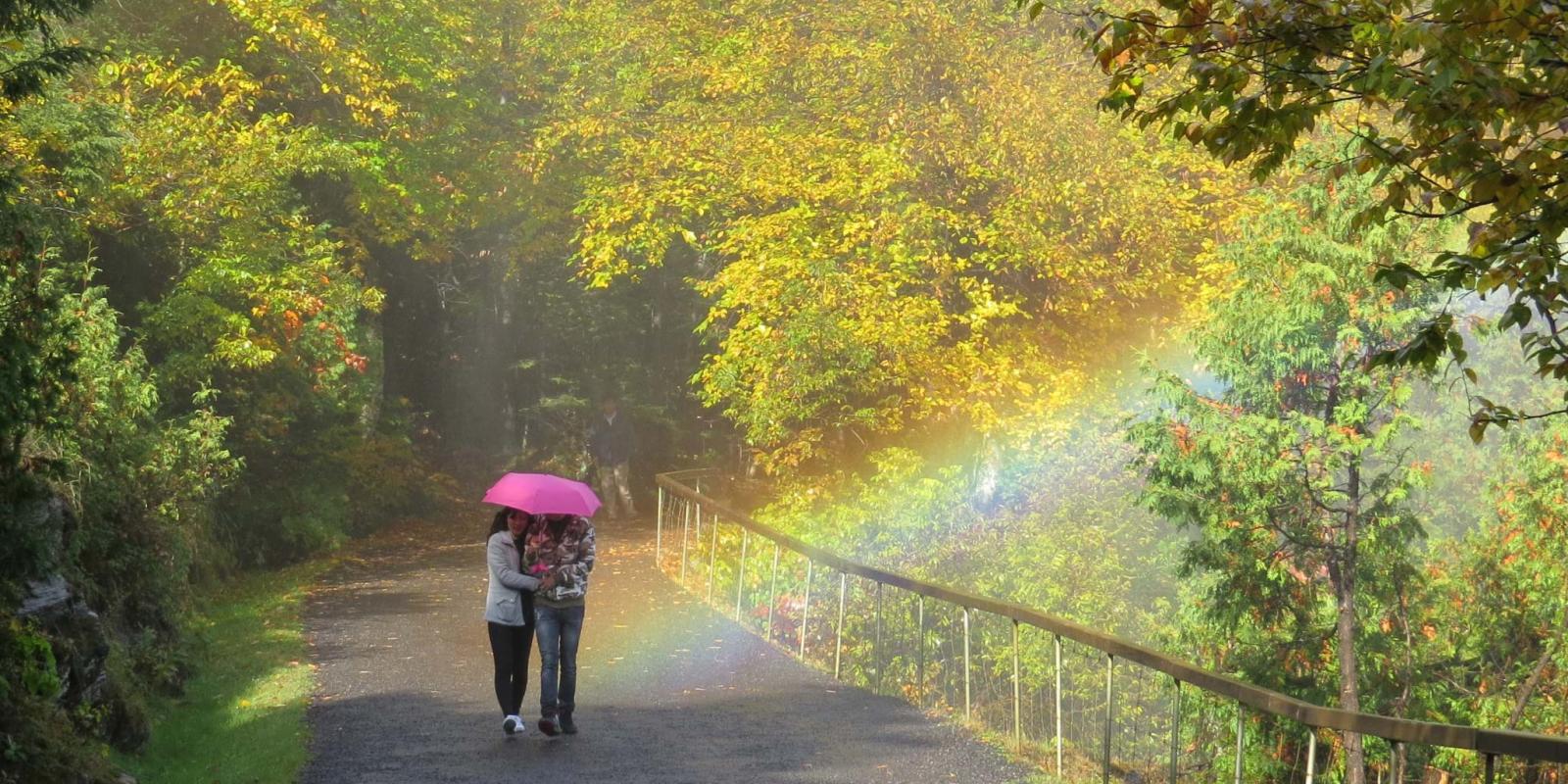 Marcheurs avec un parapluie