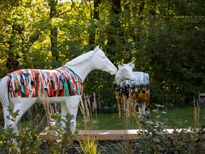 Site Déry - Cheval et vache