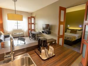 Hôtel Must - Suite