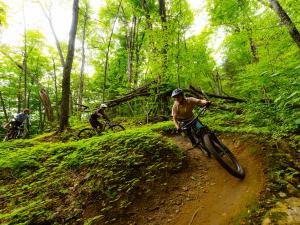 Mont-Sainte-Anne - Vélo de montagne