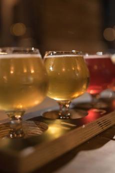 Dégustation extérieure de plusieurs bières différentes dans une microbrasserie.