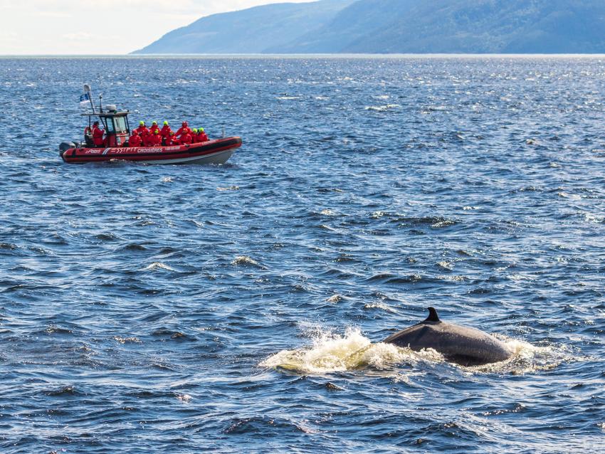 Excursion en zodiac