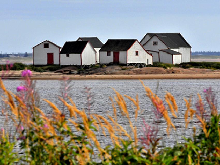 Maisons à Natashquan 