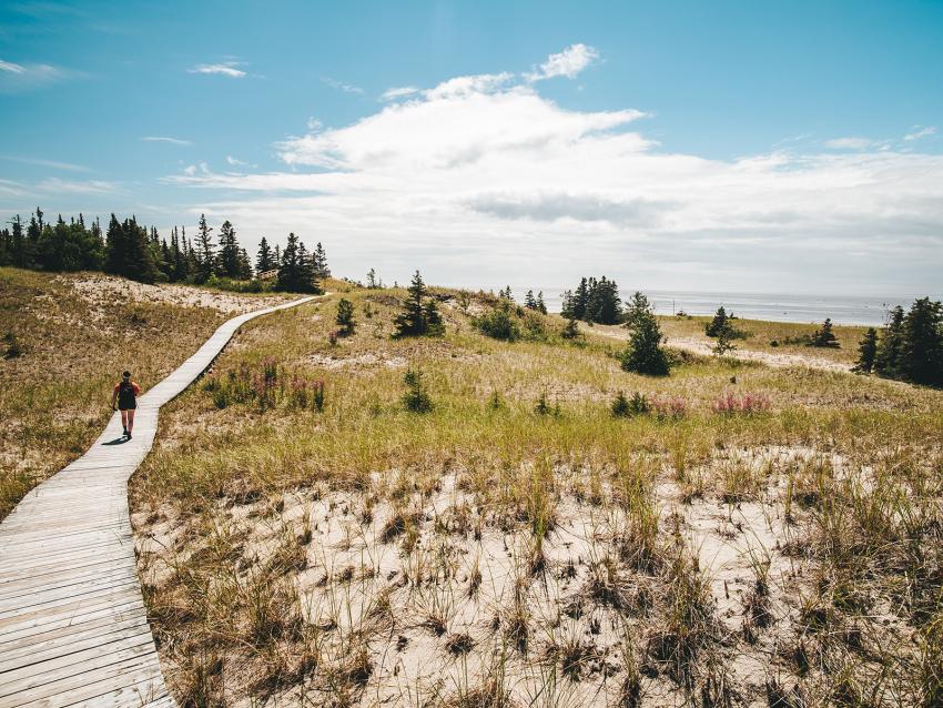 Walking path at Pointe-aux-Outardes
