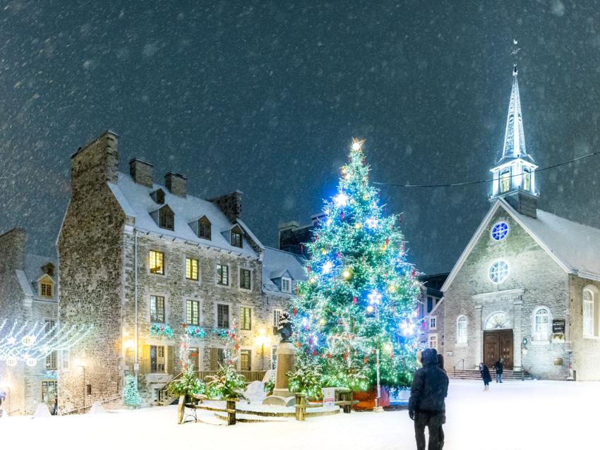 Arbre de Noel à place Royale