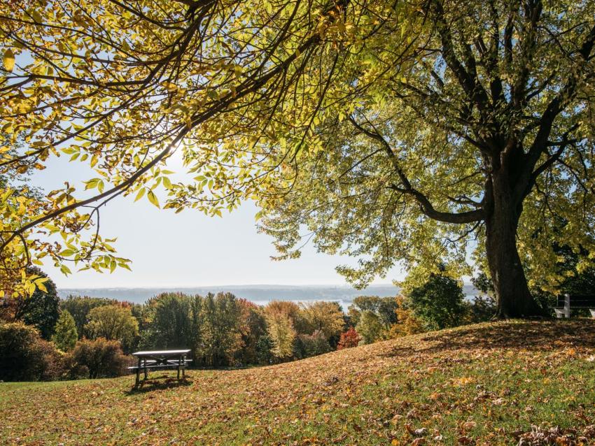 Pique-nique en couple près de la terrasse Pierre-Dugas-De Mons, devant un panorama du Vieux-Québec et du fleuve Saint-Laurent.