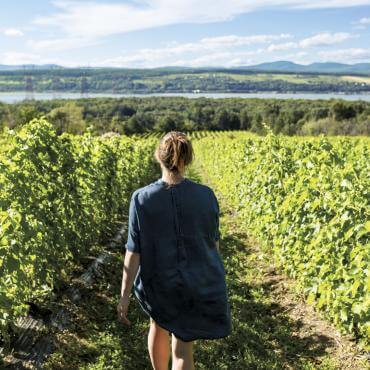 A woman walks through the Isle de Bacchus vineyard on Île d'Orléans.